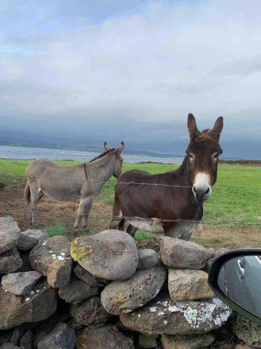 Bumblebee Cottage Donegal Town Buitenkant foto