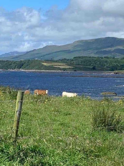Bumblebee Cottage Donegal Town Buitenkant foto